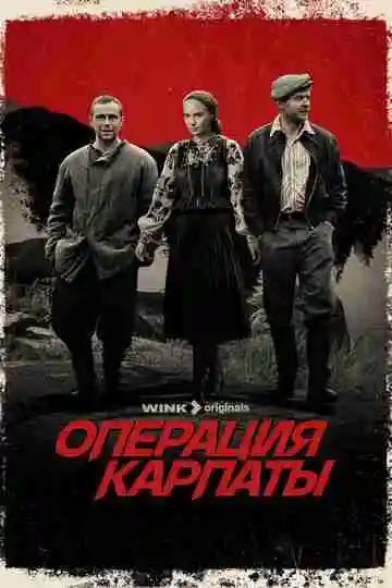 Операция «Карпаты»